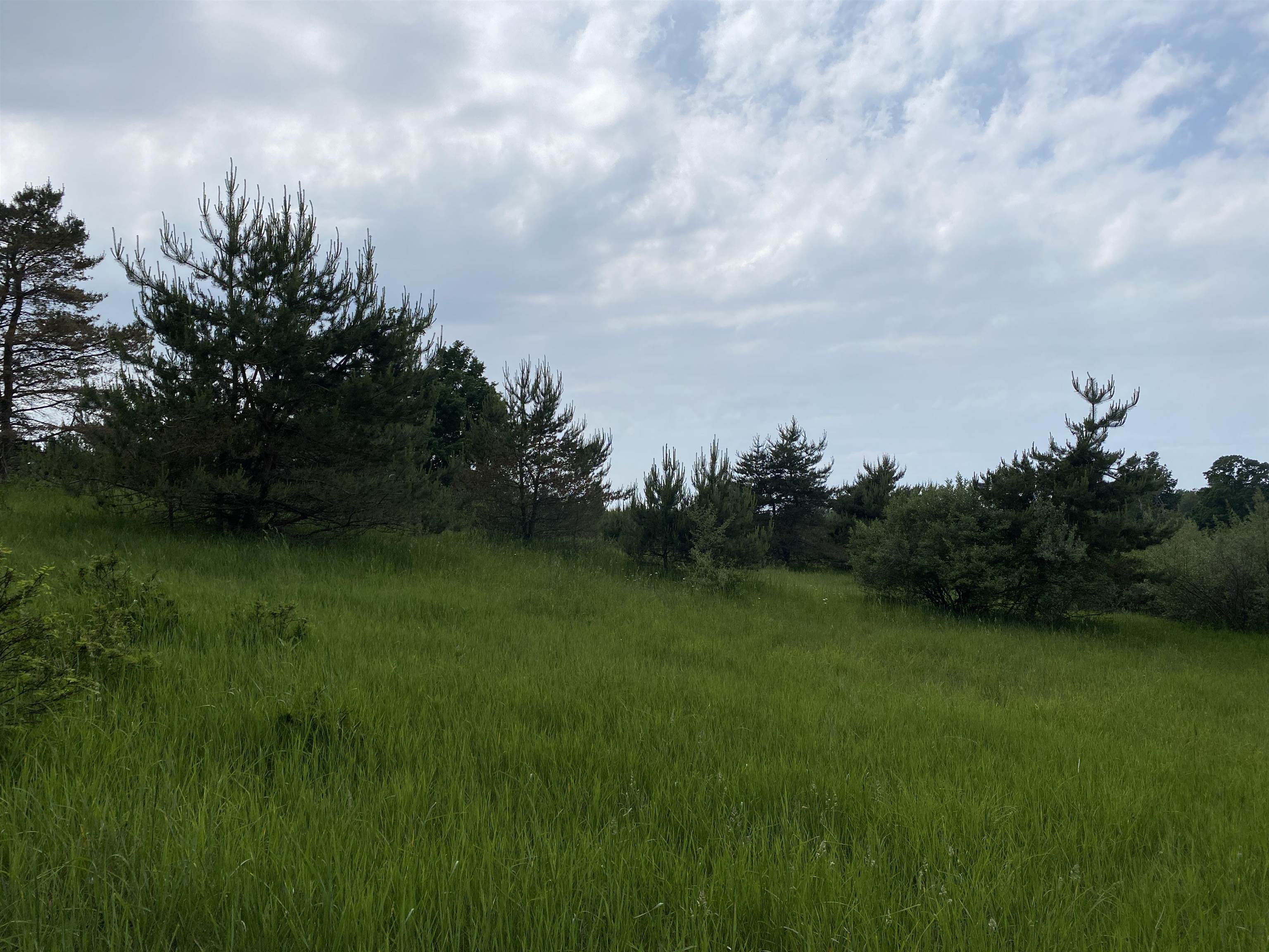 Parcel A Cemetery Road, Unit LOT: A Alden, MI 49612 - Photo 23 of 24
