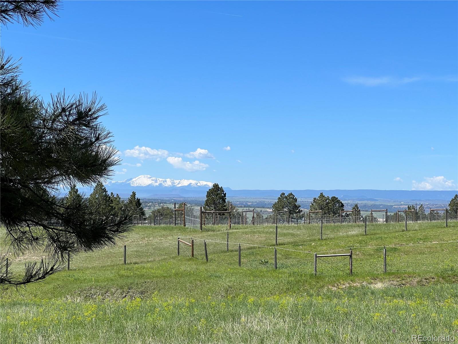 10290 Democrat Road Parker, CO 80134 - Photo 11 of 23