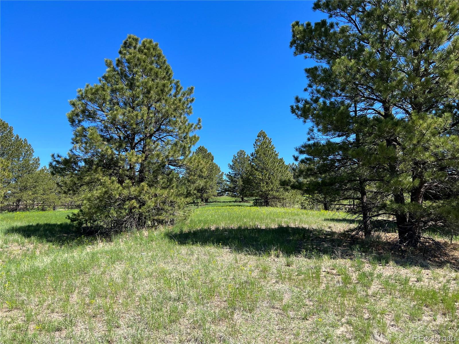 10290 Democrat Road Parker, CO 80134 - Photo 13 of 23