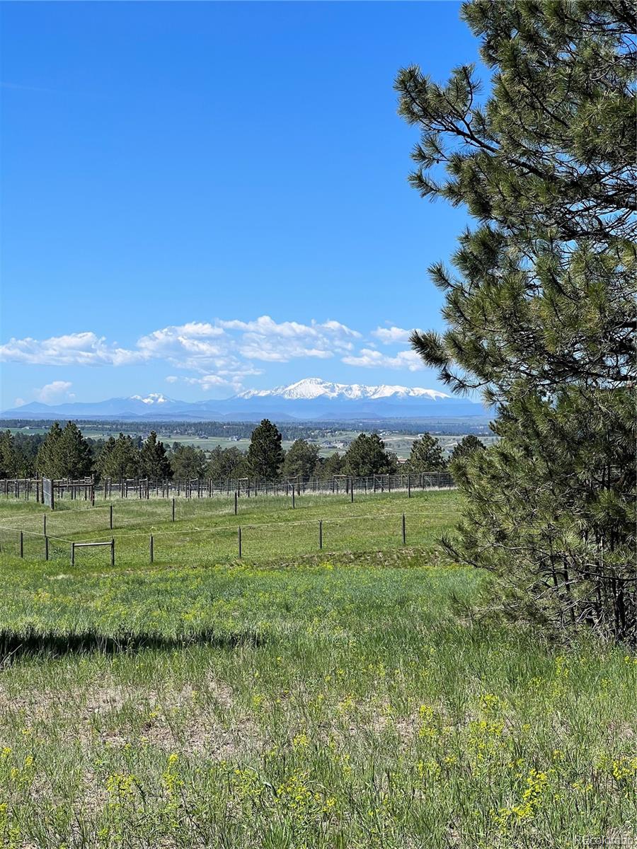 10290 Democrat Road Parker, CO 80134 - Photo 16 of 23