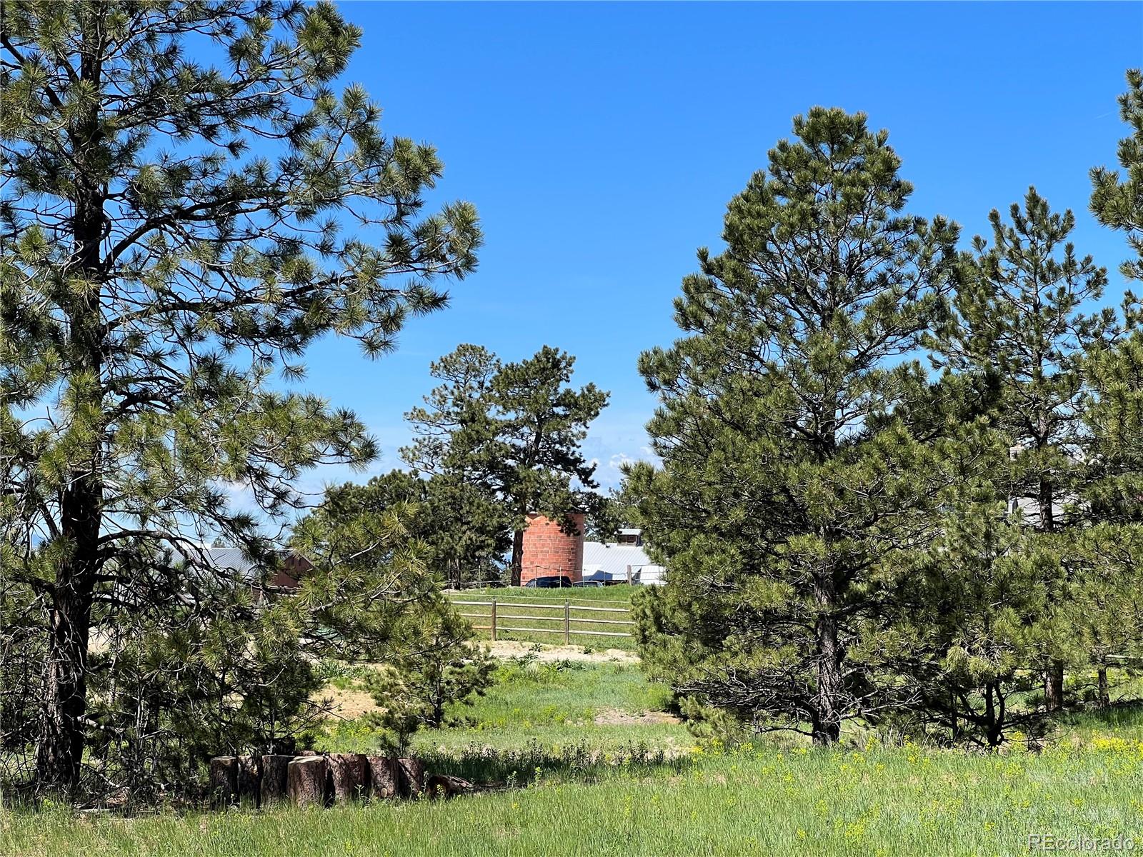 10290 Democrat Road Parker, CO 80134 - Photo 18 of 23