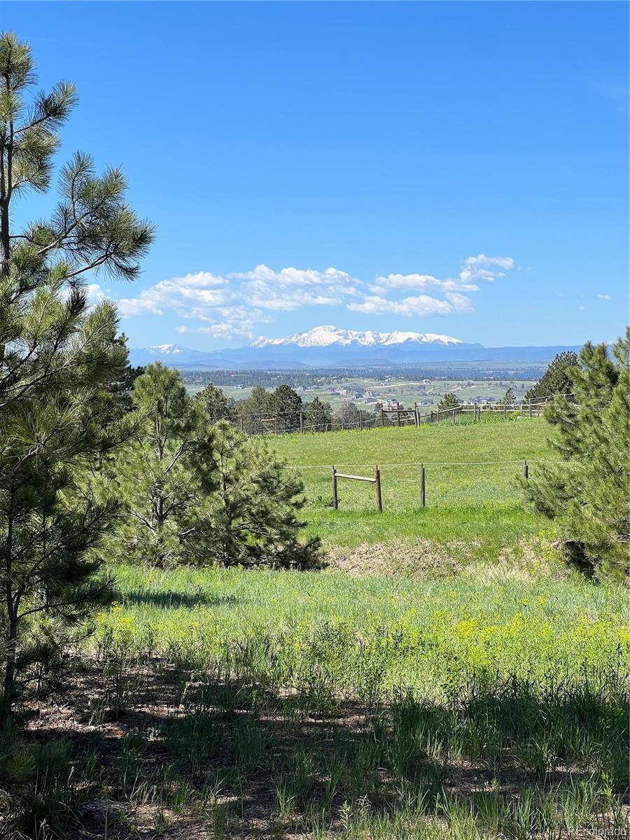 10290 Democrat Road Parker, CO 80134 - Photo 19 of 23