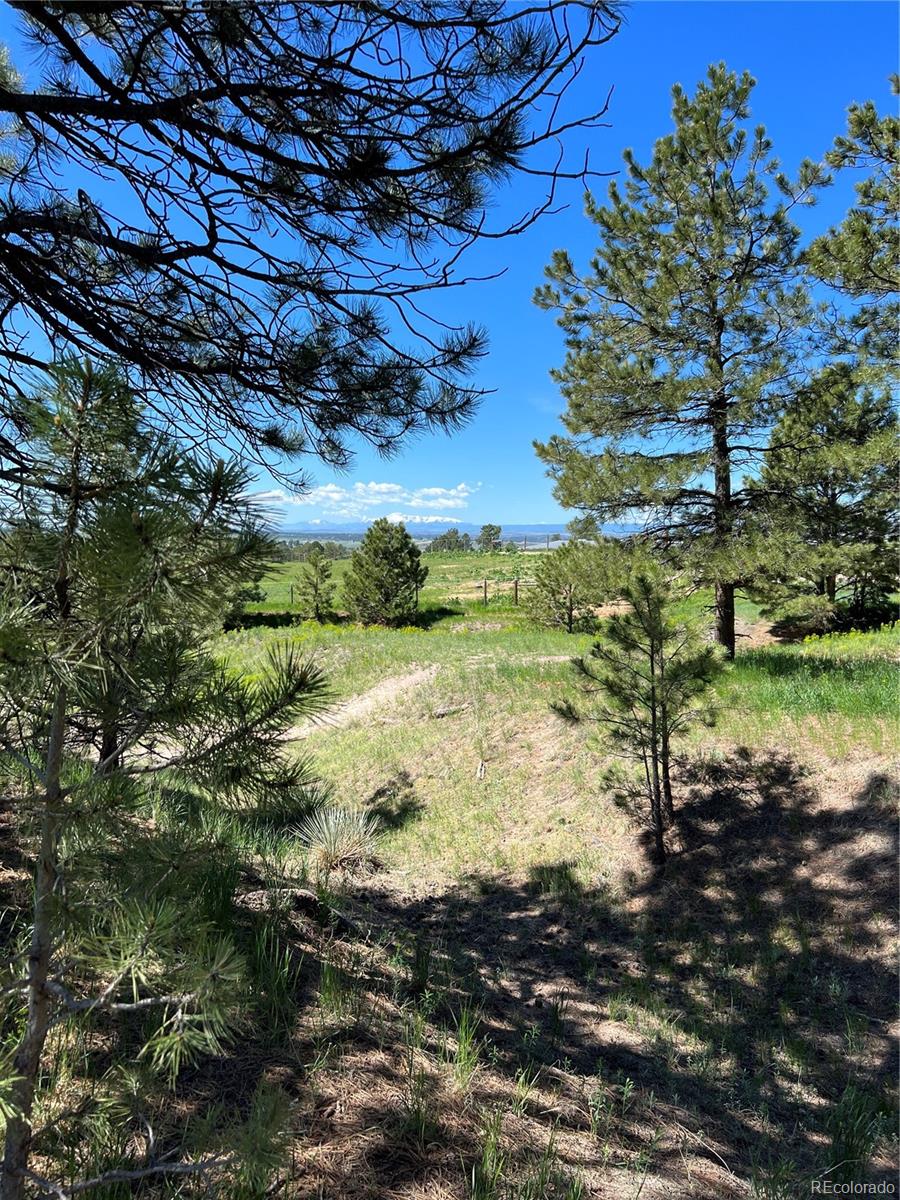 10290 Democrat Road Parker, CO 80134 - Photo 22 of 23