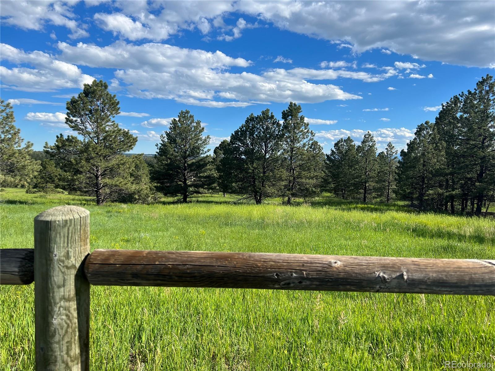 10290 Democrat Road Parker, CO 80134 - Photo 23 of 23