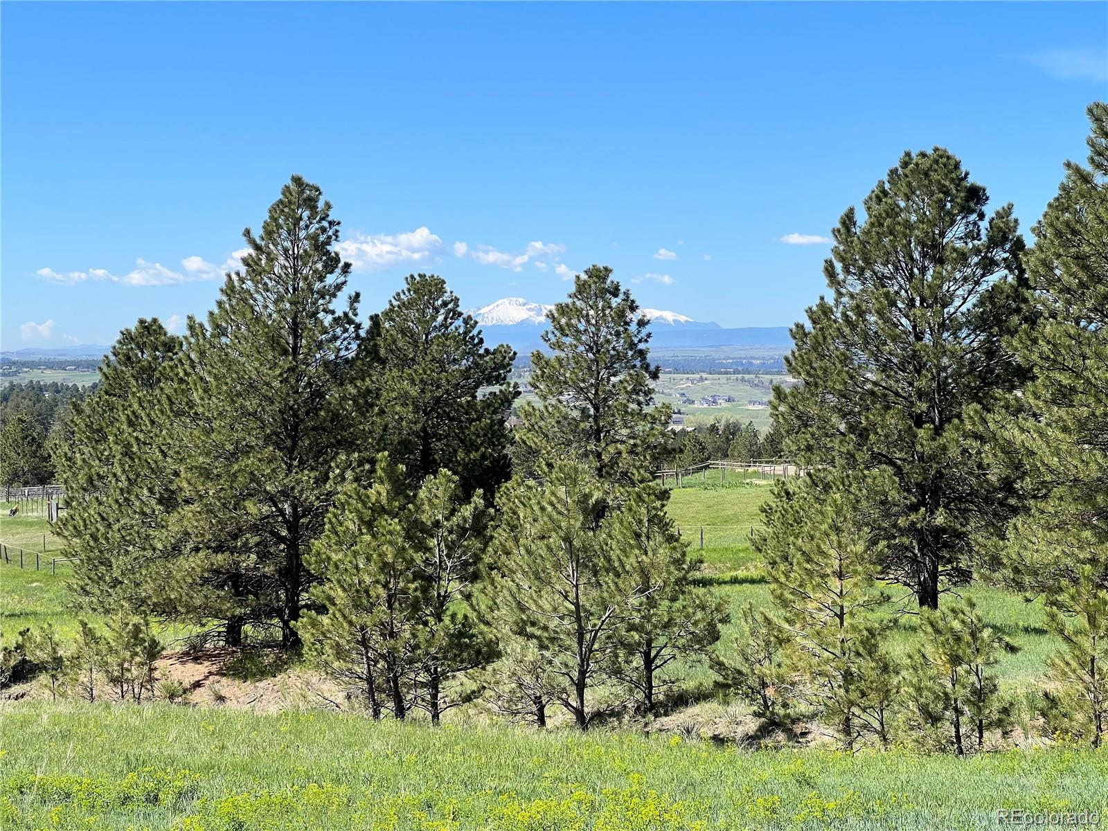 10290 Democrat Road Parker, CO 80134 - Photo 5 of 23