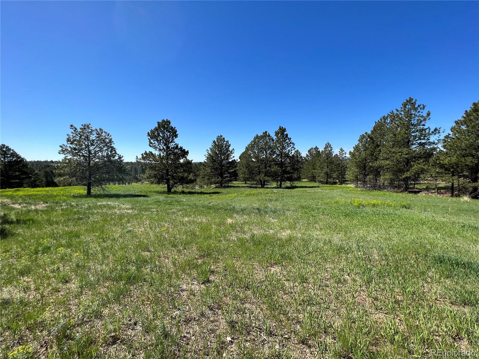 10290 Democrat Road Parker, CO 80134 - Photo 8 of 23