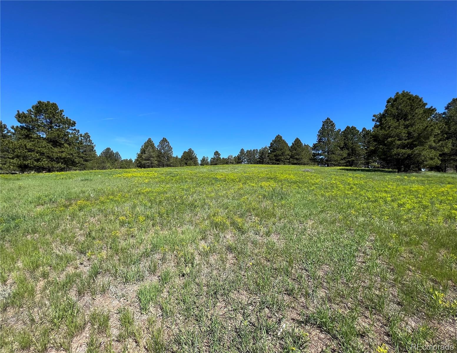 10290 Democrat Road Parker, CO 80134 - Photo 9 of 23