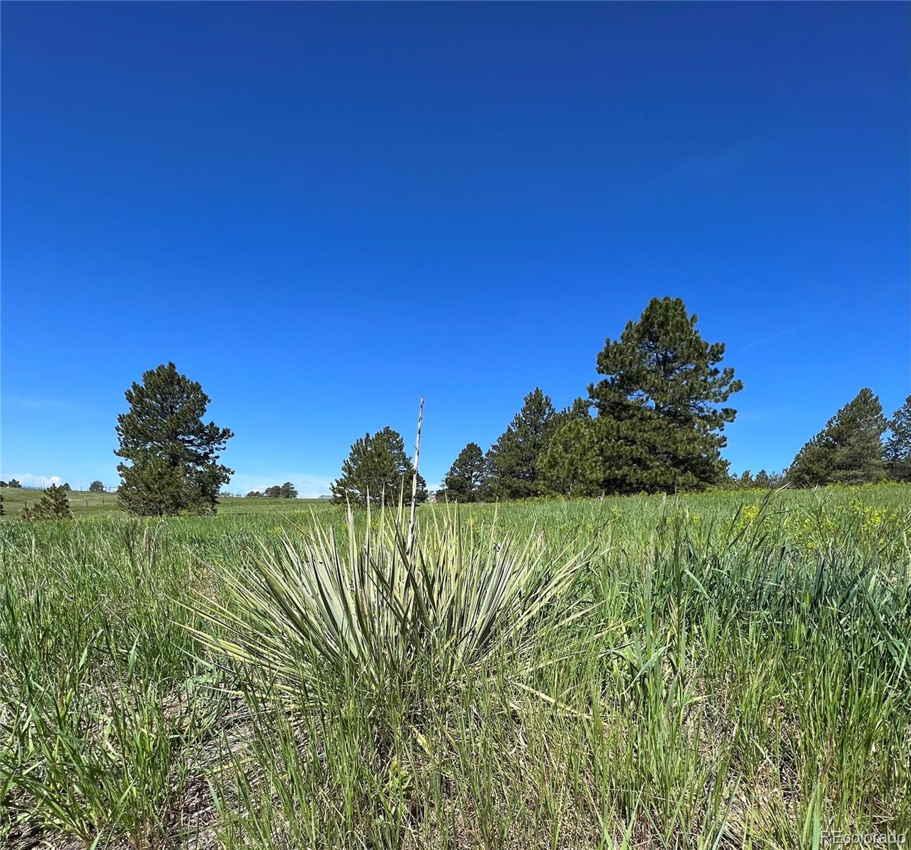 10290 Democrat Road Parker, CO 80134 - Photo 10 of 23