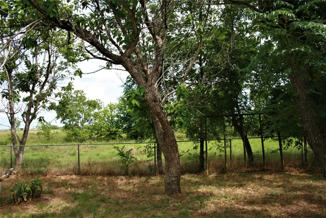 a view of a backyard with large trees