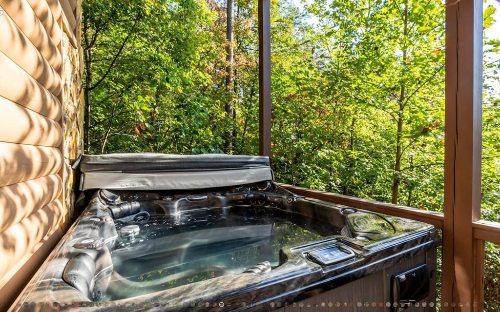 335 Mountain Laurel Lane Blue Ridge, GA 30513 - Photo 22 of 67