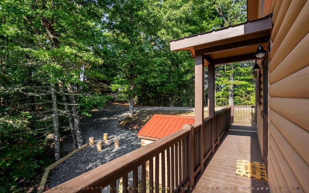 335 Mountain Laurel Lane Blue Ridge, GA 30513 - Photo 28 of 67