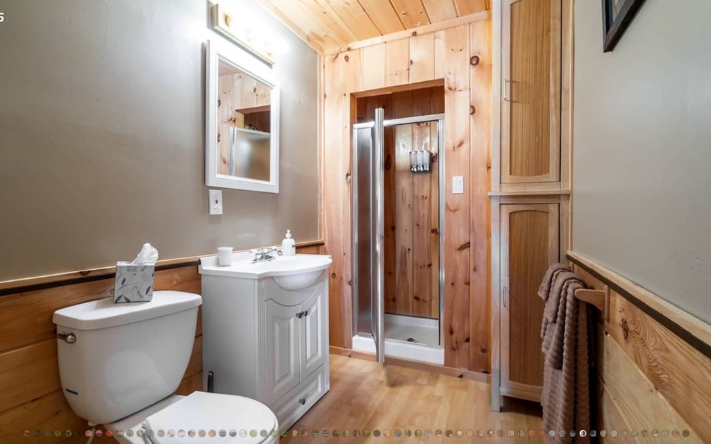 335 Mountain Laurel Lane Blue Ridge, GA 30513 - Photo 49 of 67 a bathroom with a toilet sink and mirror