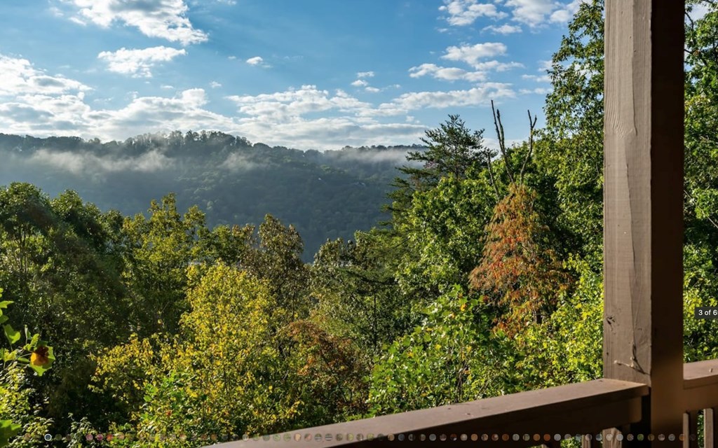335 Mountain Laurel Lane Blue Ridge, GA 30513 - Photo 56 of 67 a view of a lake from a yard