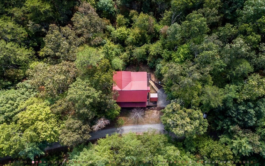 335 Mountain Laurel Lane Blue Ridge, GA 30513 - Photo 58 of 67 an aerial view of a house