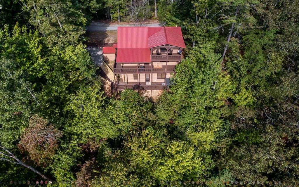 335 Mountain Laurel Lane Blue Ridge, GA 30513 - Photo 61 of 67 an aerial view of a house with a yard sitting space