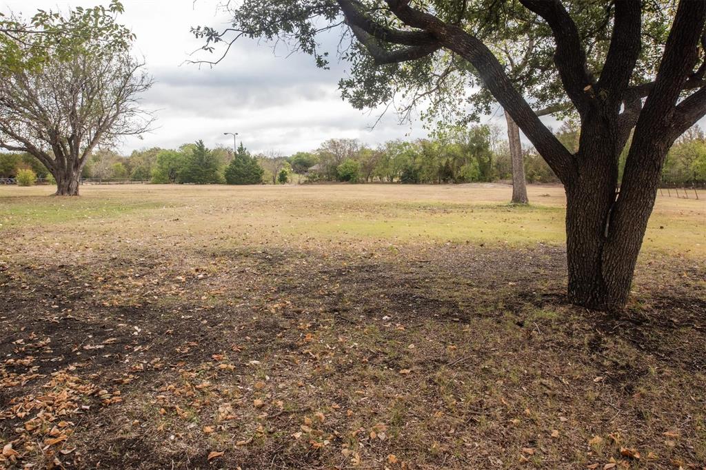 1850 Rock Ridge Road Lucas, TX 75002 - Photo 8 of 34 a view of backyard with large trees