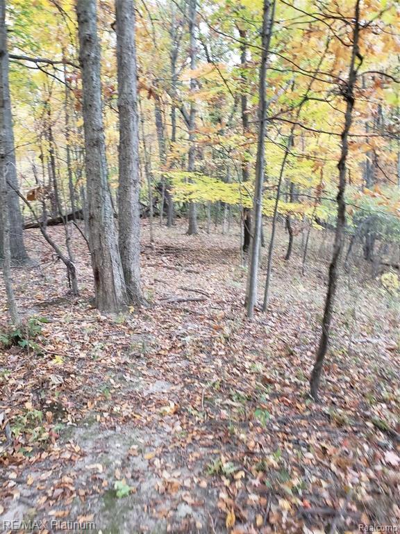 2 Wiggins Road Howell, MI 48855 - Photo 7 of 21