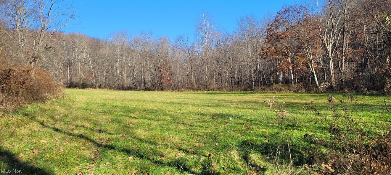 Johnson Run Road Newcomerstown, OH 43832 - Photo 8 of 35 Gallery Image 8