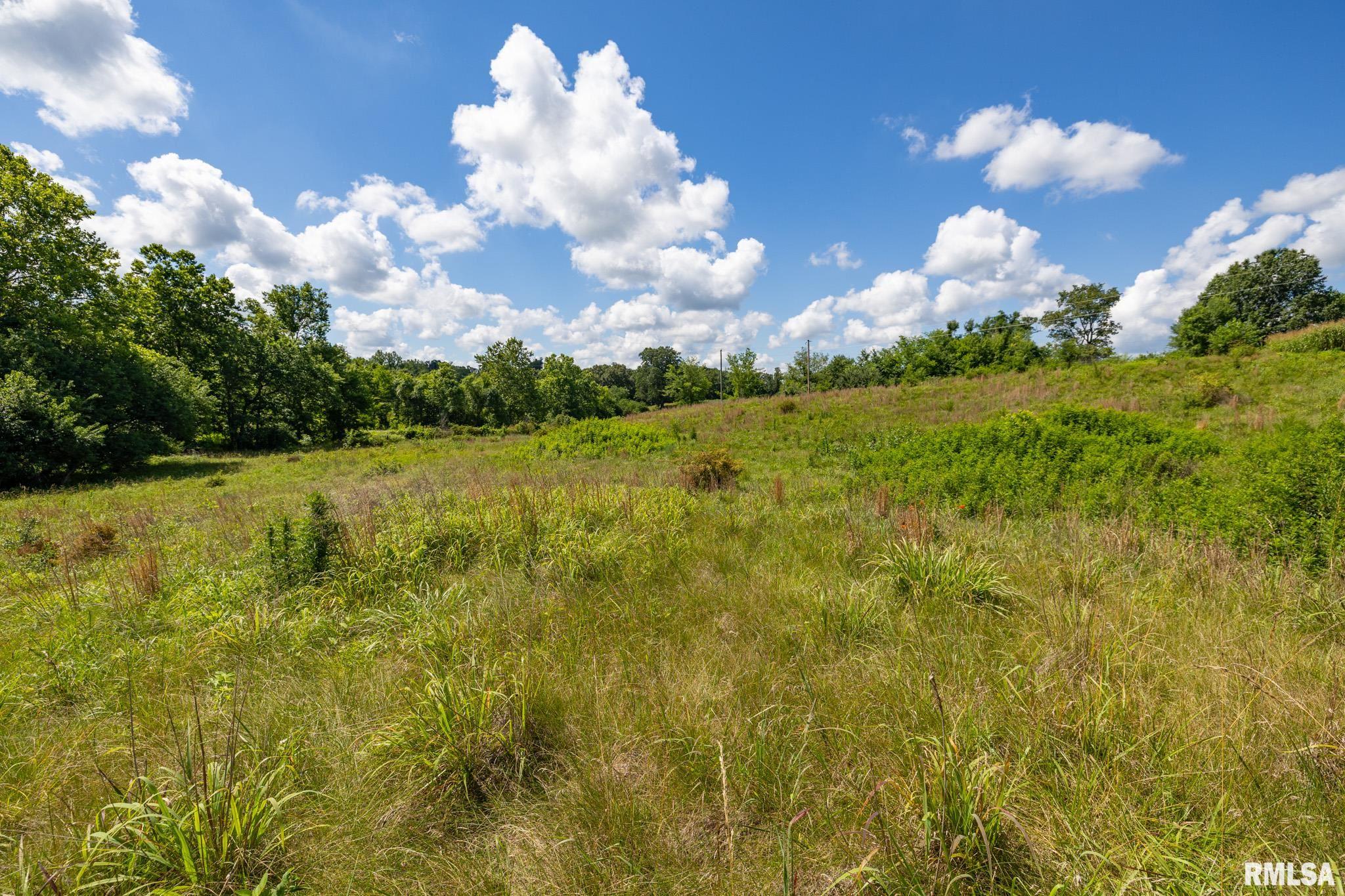 1770 Aldridge Road Cobden, IL 62920 - Photo 66 of 71