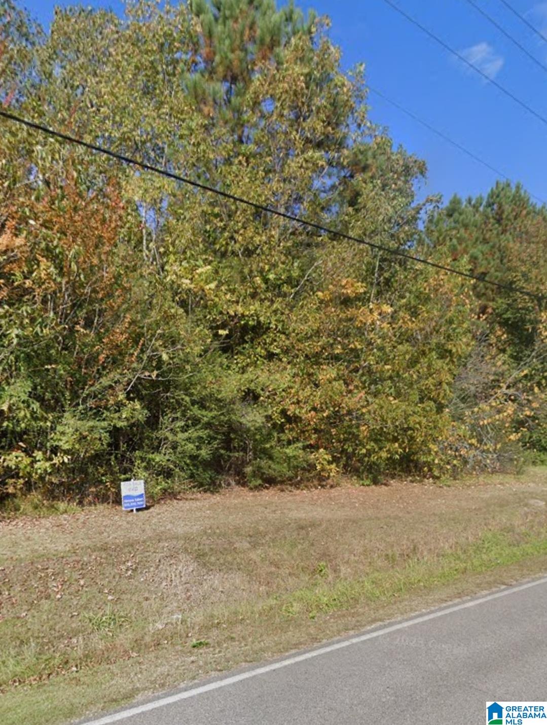 9727 County Road 55 Sterrett, AL 35147 - Photo 1 of 2