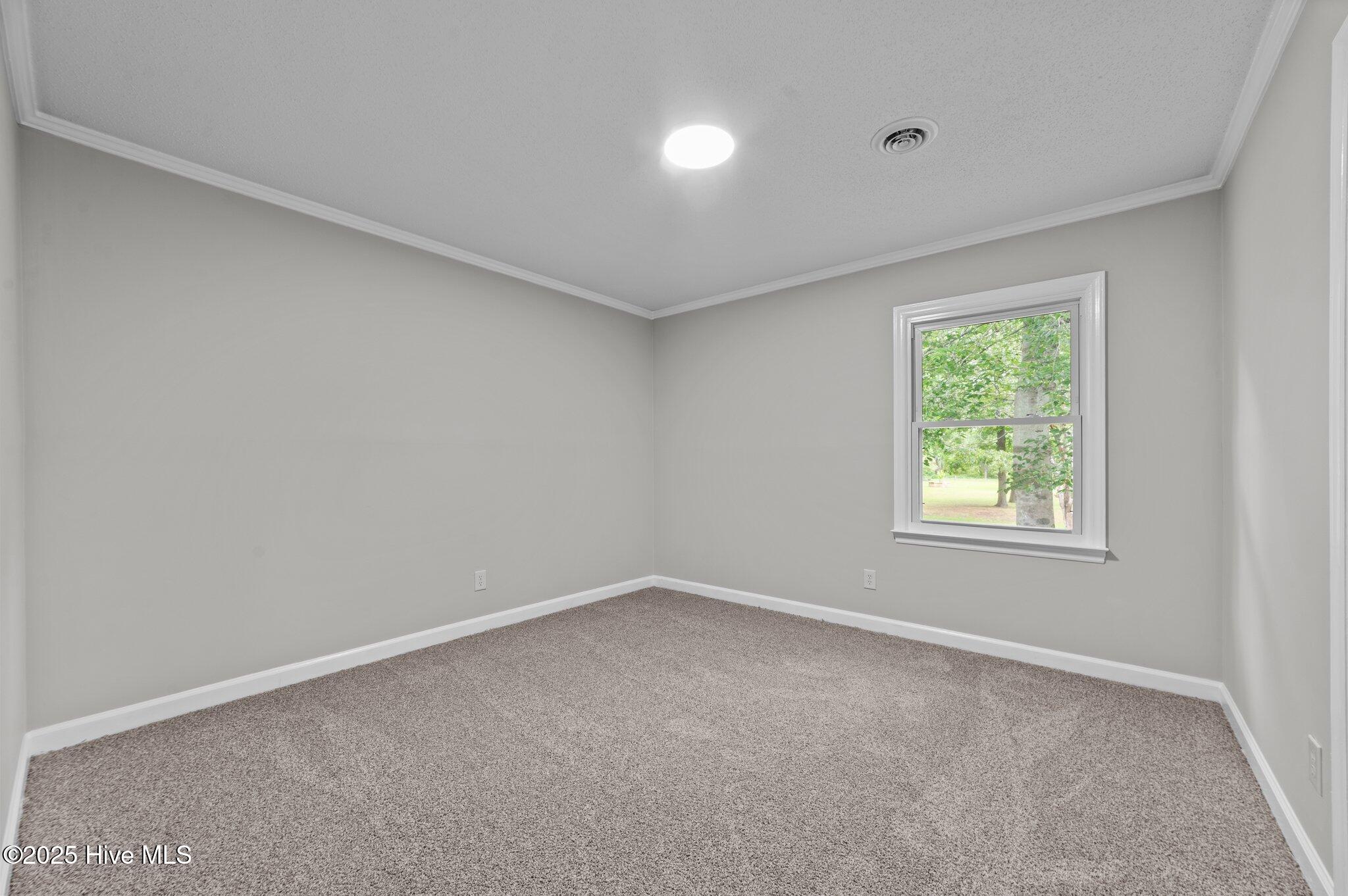 105 Country Place Washington, NC 27889 - Photo 29 of 43 46-web-or-mls-LHV_6376