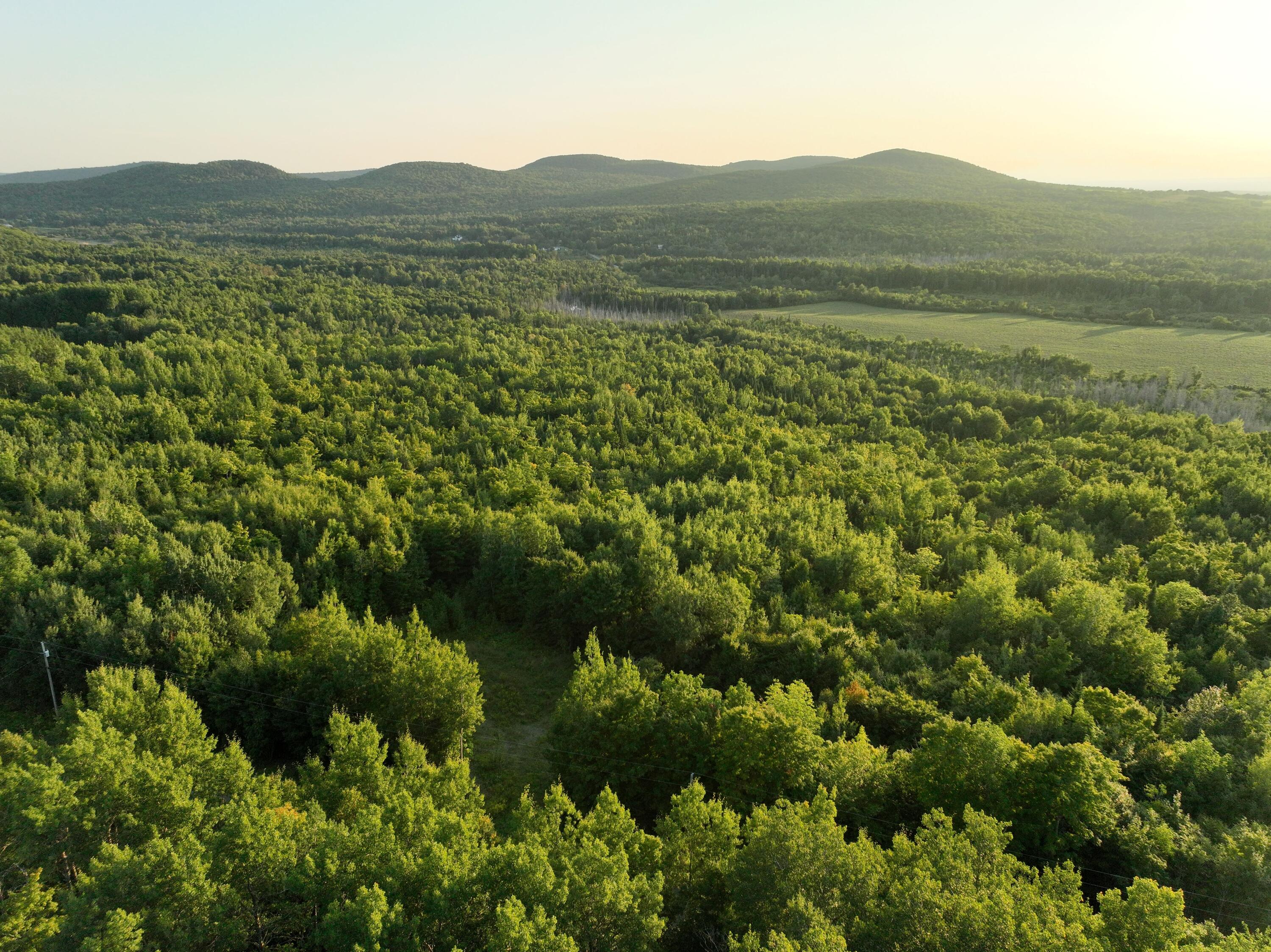 0 Thompson Settlement Road Oakfield, ME 04763 - Photo 30 of 33 DJI_0049