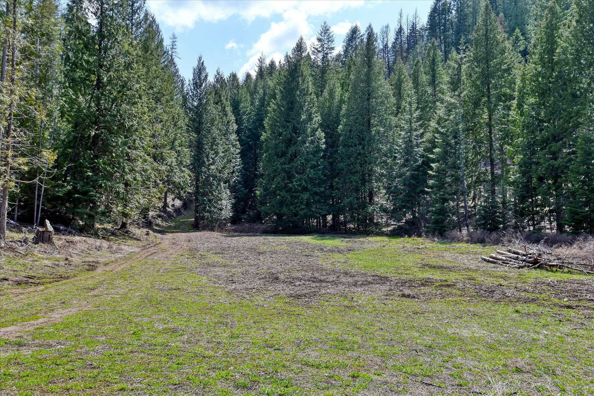 7391 Scotia Road Newport, WA 99156 - Photo 19 of 29 Gallery Image 19