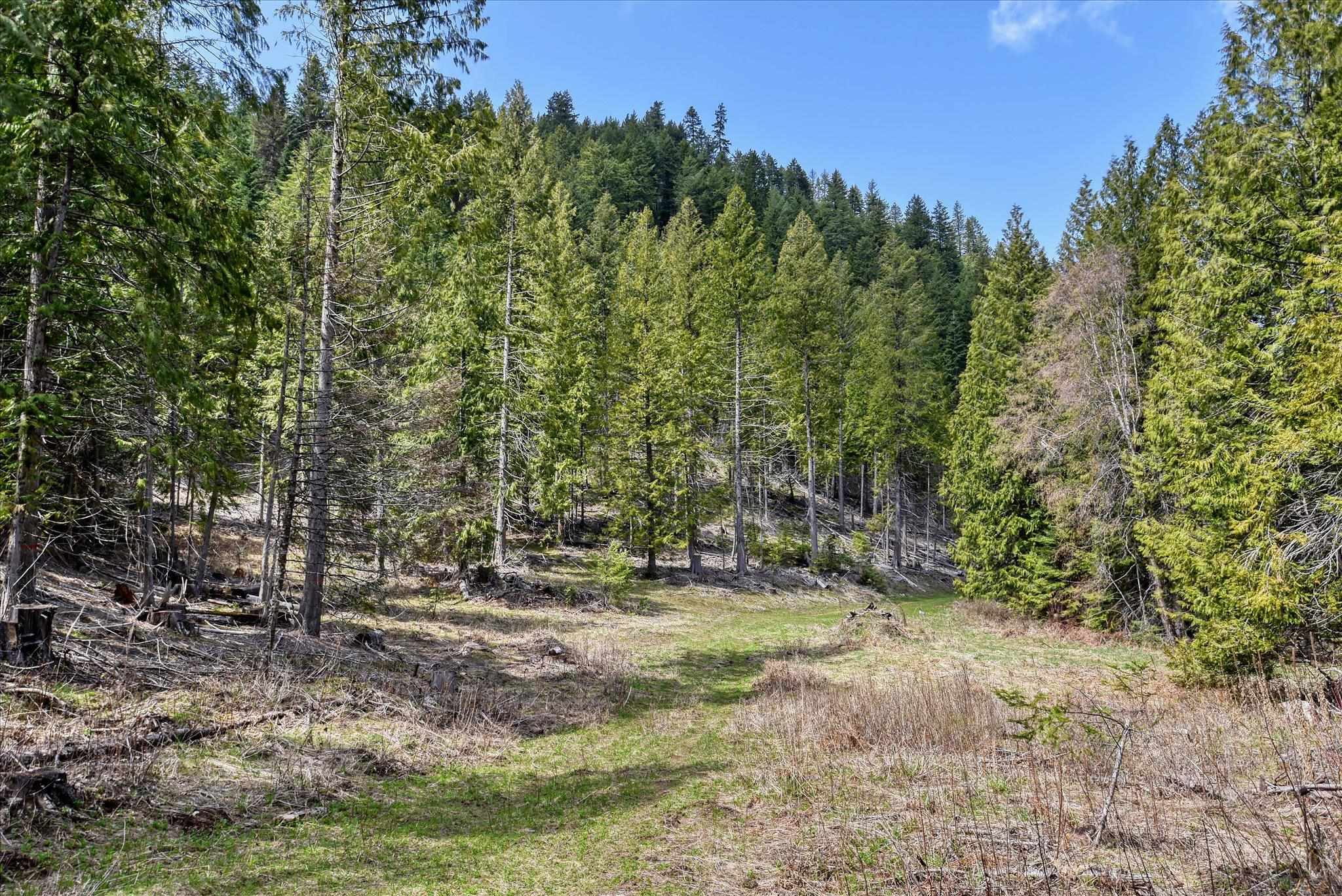7391 Scotia Road Newport, WA 99156 - Photo 26 of 29 Gallery Image 26