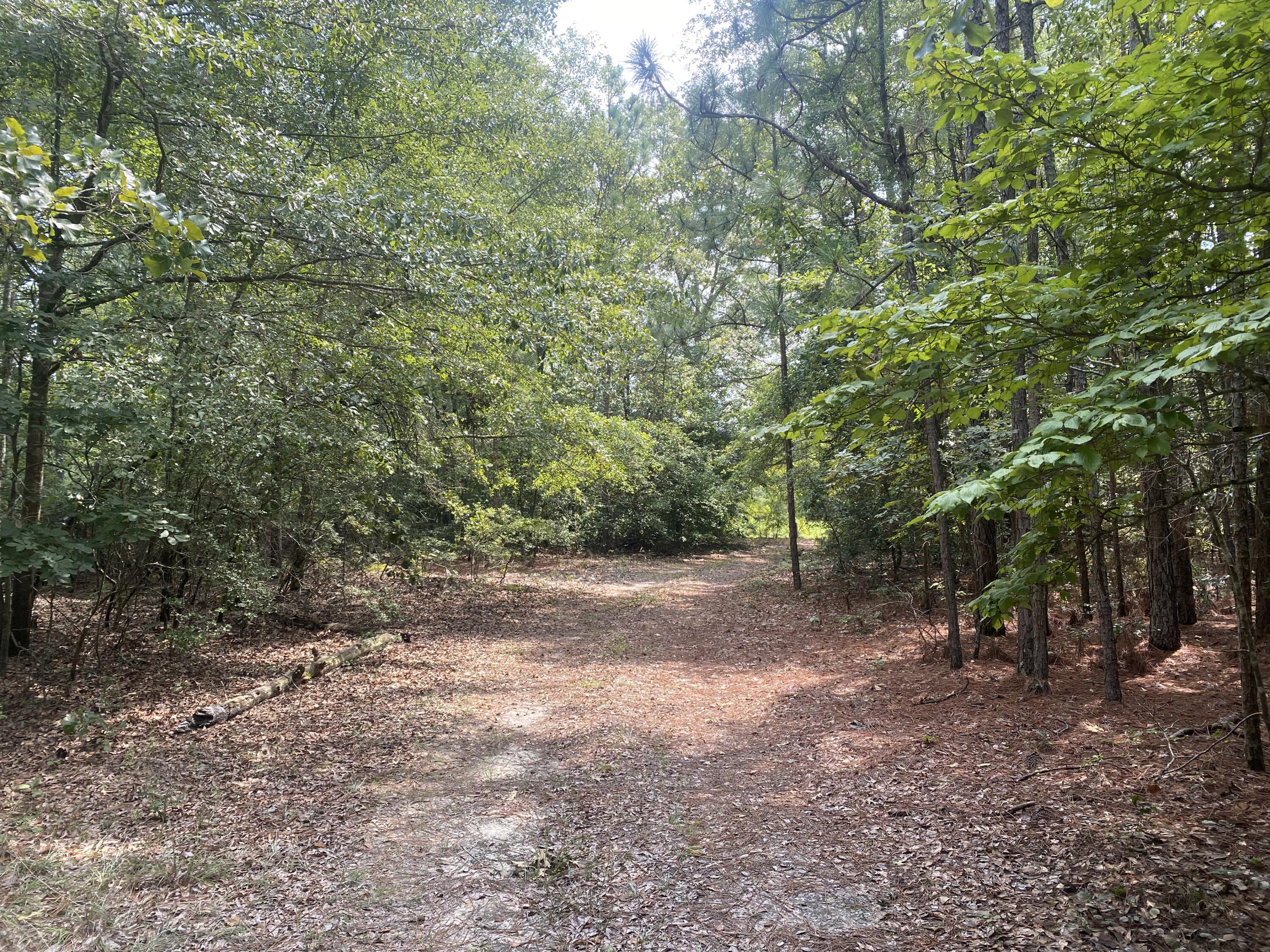 723 Bethcar Church Road Wagener, SC 29164 - Photo 15 of 16