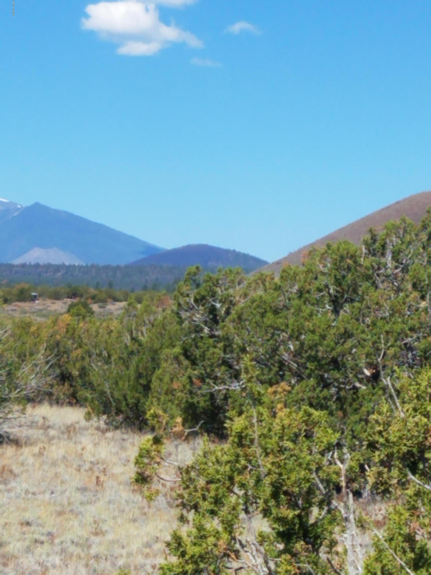 42016 D Alpine Ranch Flagstaff, AZ 86004 - Photo 1 of 4 Parcel view