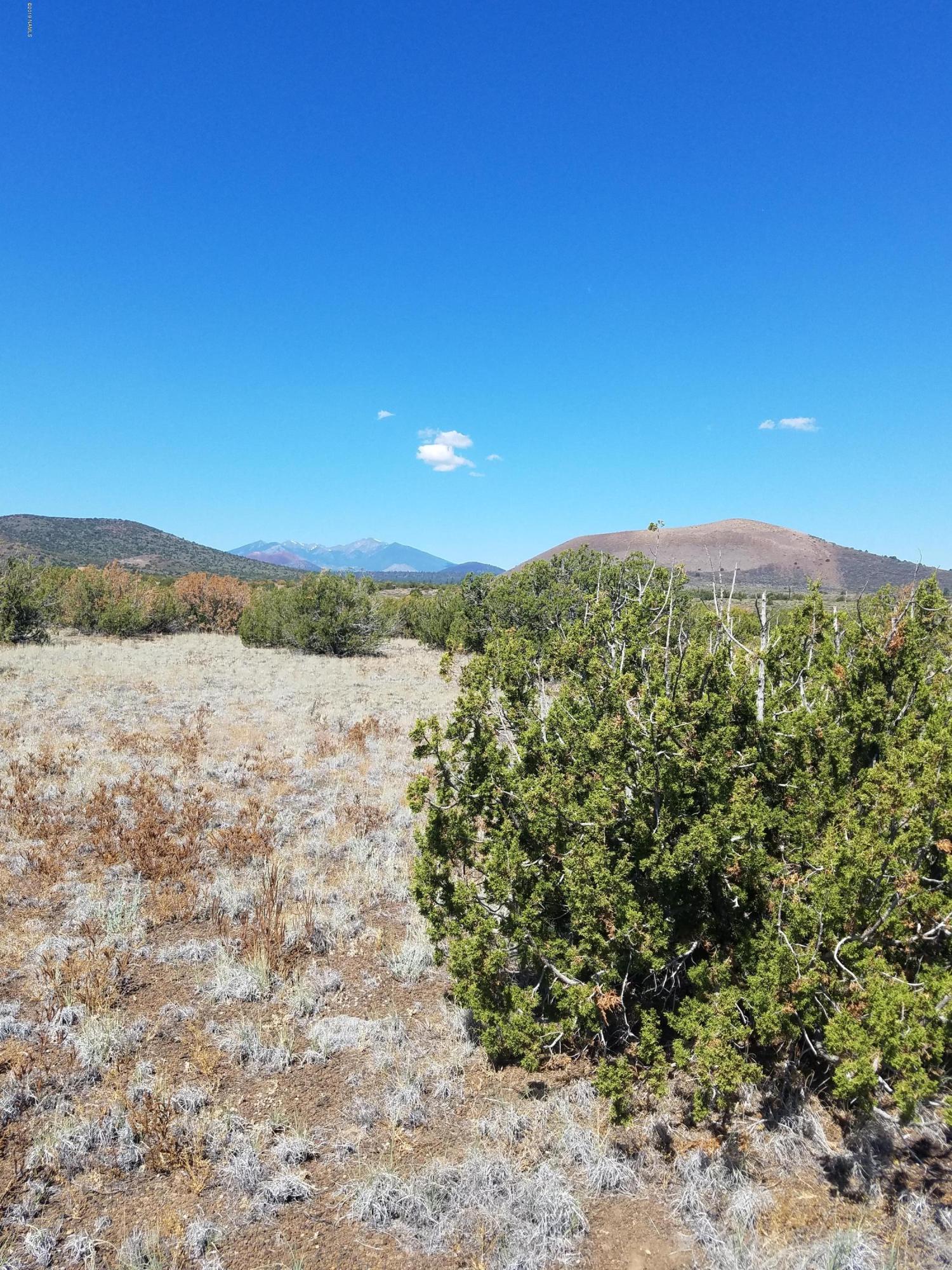 42016 D Alpine Ranch Flagstaff, AZ 86004 - Photo 2 of 4 Parcel view 1