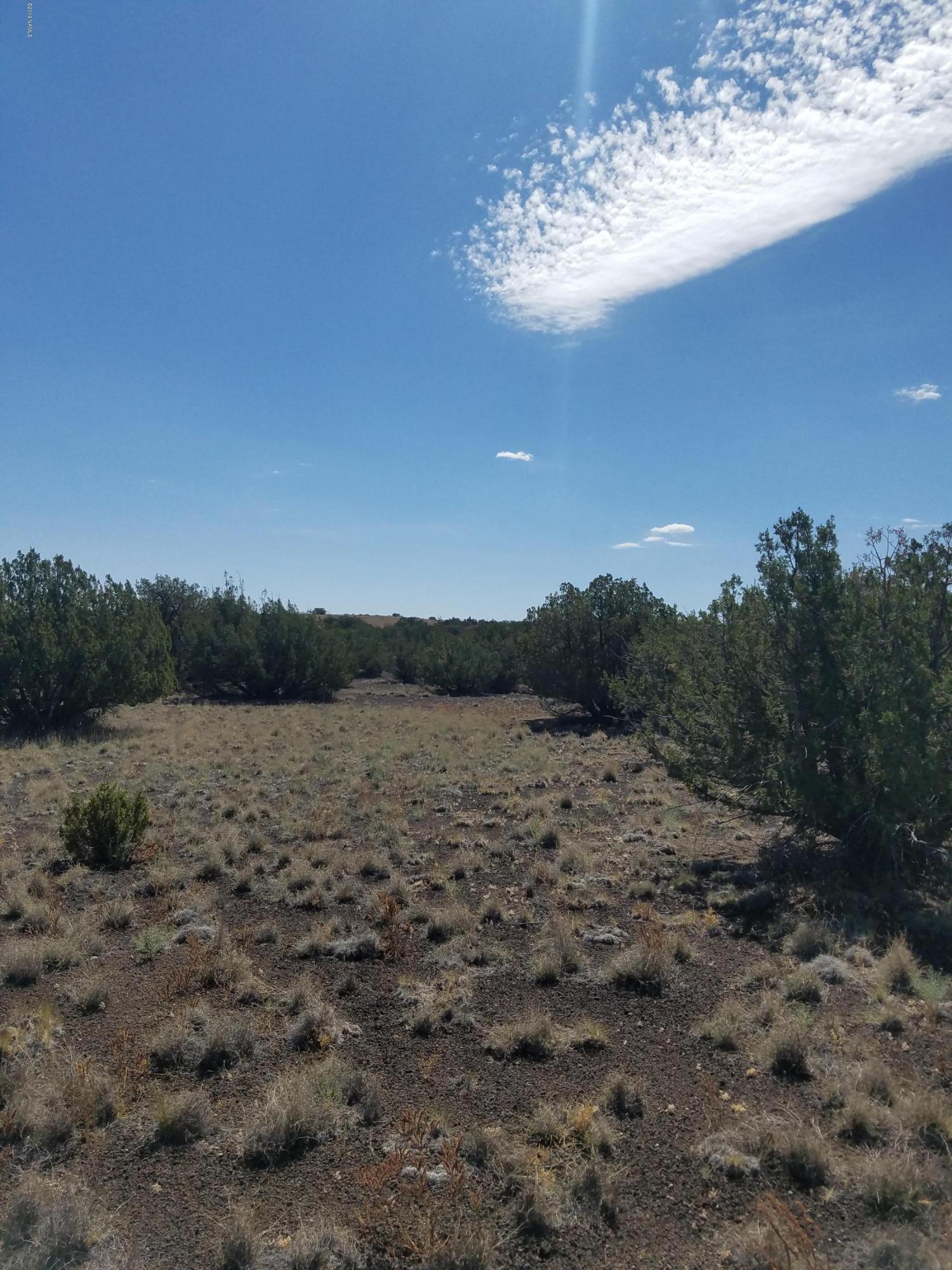 42016 D Alpine Ranch Flagstaff, AZ 86004 - Photo 3 of 4 Parcel view 2