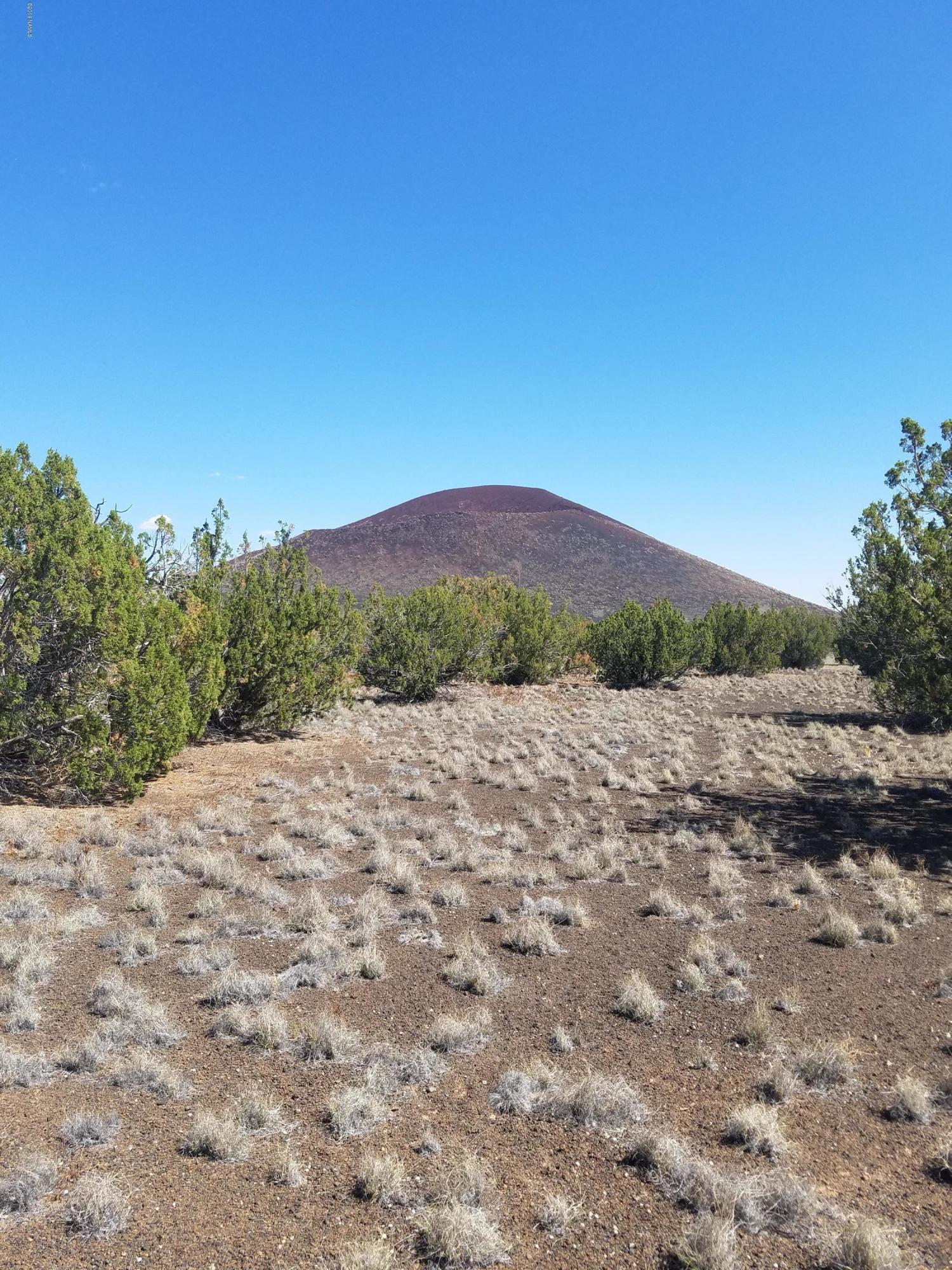 42016 D Alpine Ranch Flagstaff, AZ 86004 - Photo 4 of 4 Parcel view 3