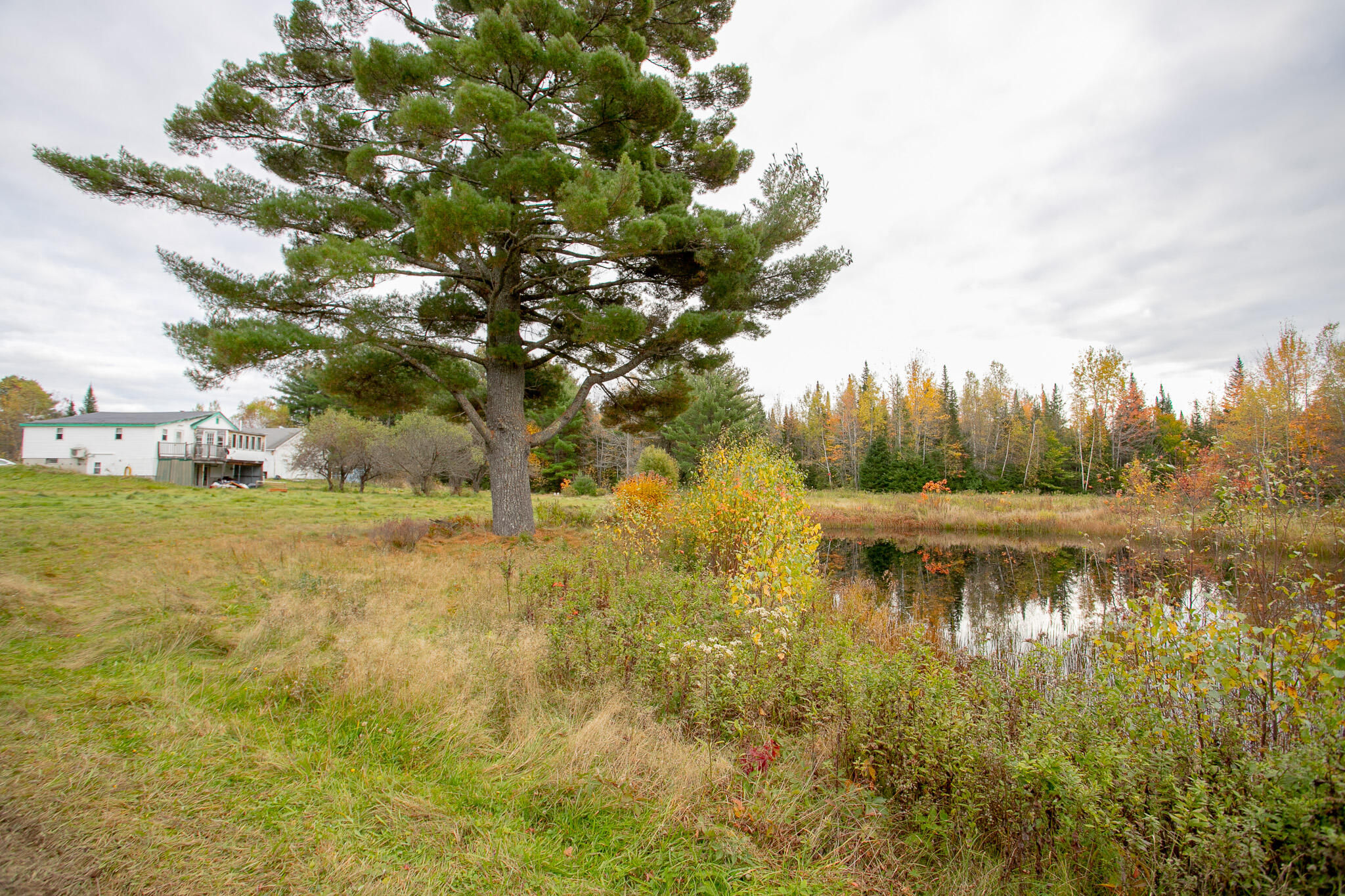 4560 Bennoch Road Old Town, ME 04468 - Photo 46 of 52 IMG_0474