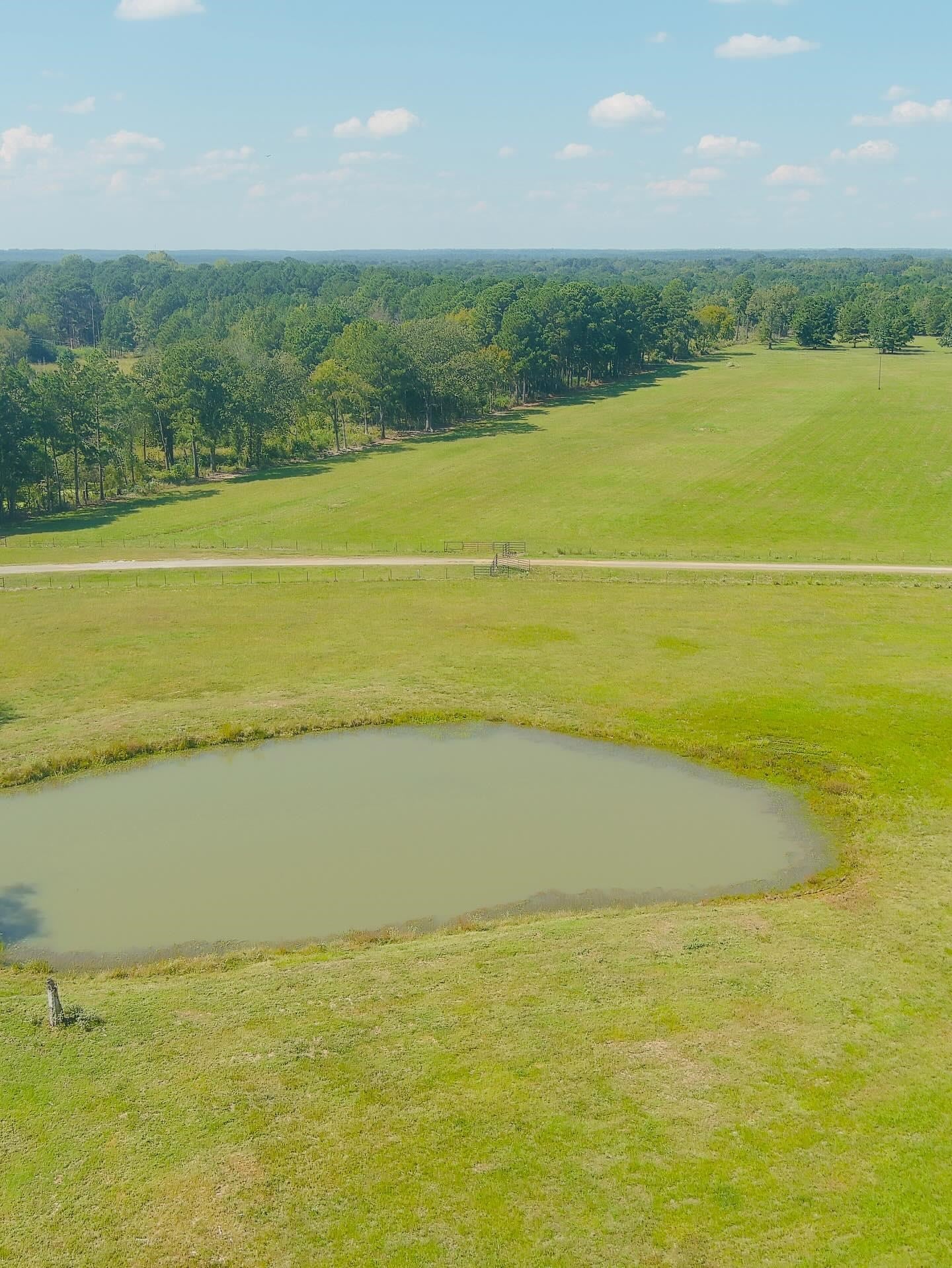 661 Adams Road Marshall, TX 75672 - Photo 15 of 19 Gallery Image 15
