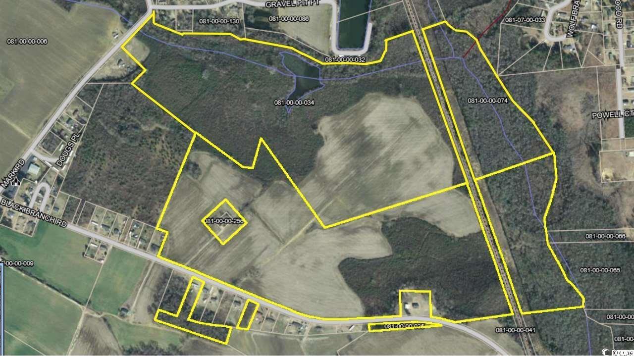 Black Branch Road Dillon, SC 29536 - Photo 2 of 2