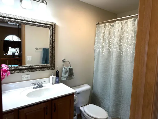 a bathroom with a sink a toilet a mirror and shower curtain