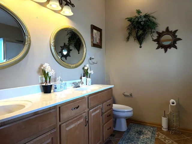 a bathroom with a toilet a sink and mirror