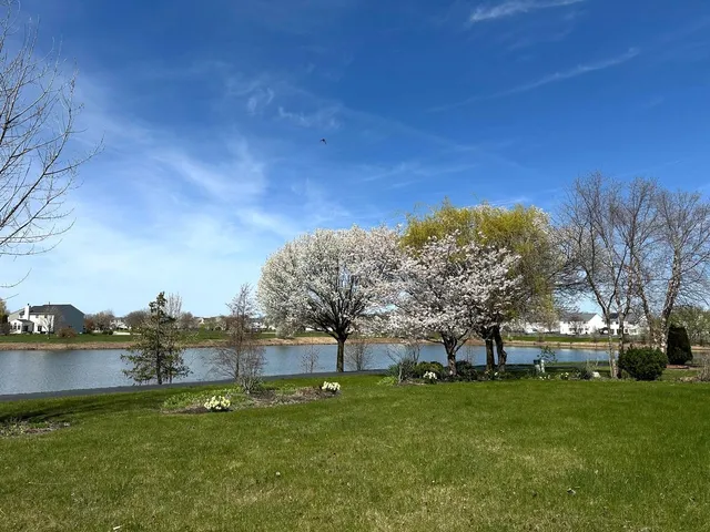a view of a lake with a houses in the background
