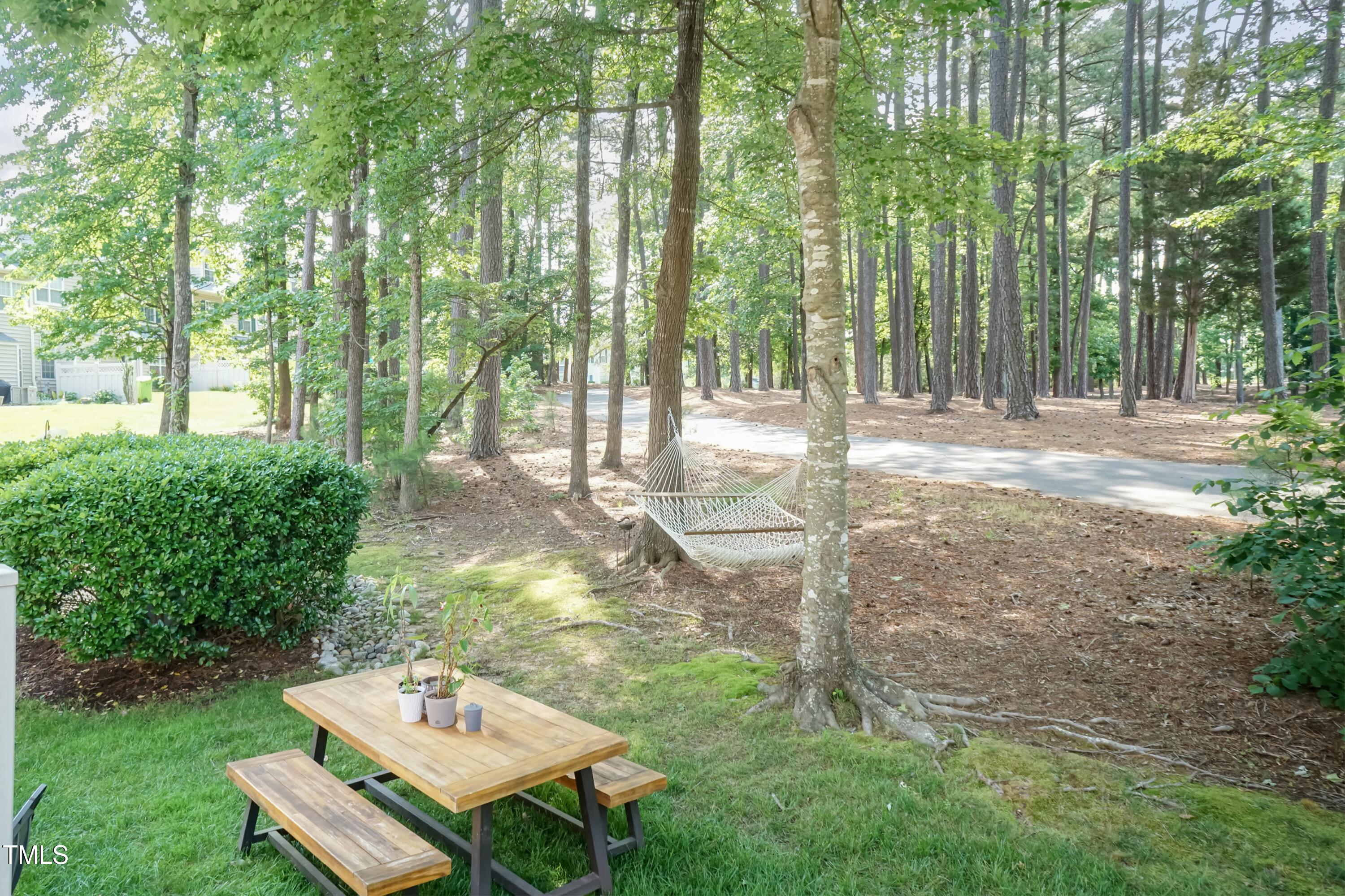 11217 Maplecroft Court Raleigh, NC 27617 - Photo 37 of 40 Back Yard 02