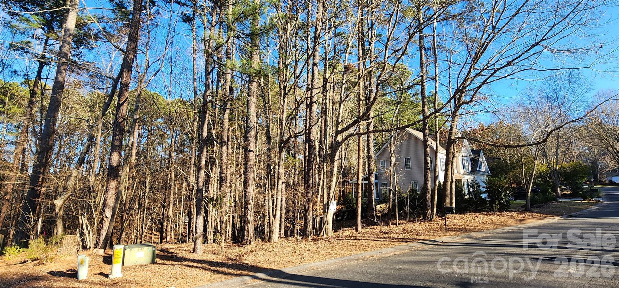 11176 Watertrace Drive Fort Mill, SC 29708 - Photo 1 of 30 a view of a yard in front of a building