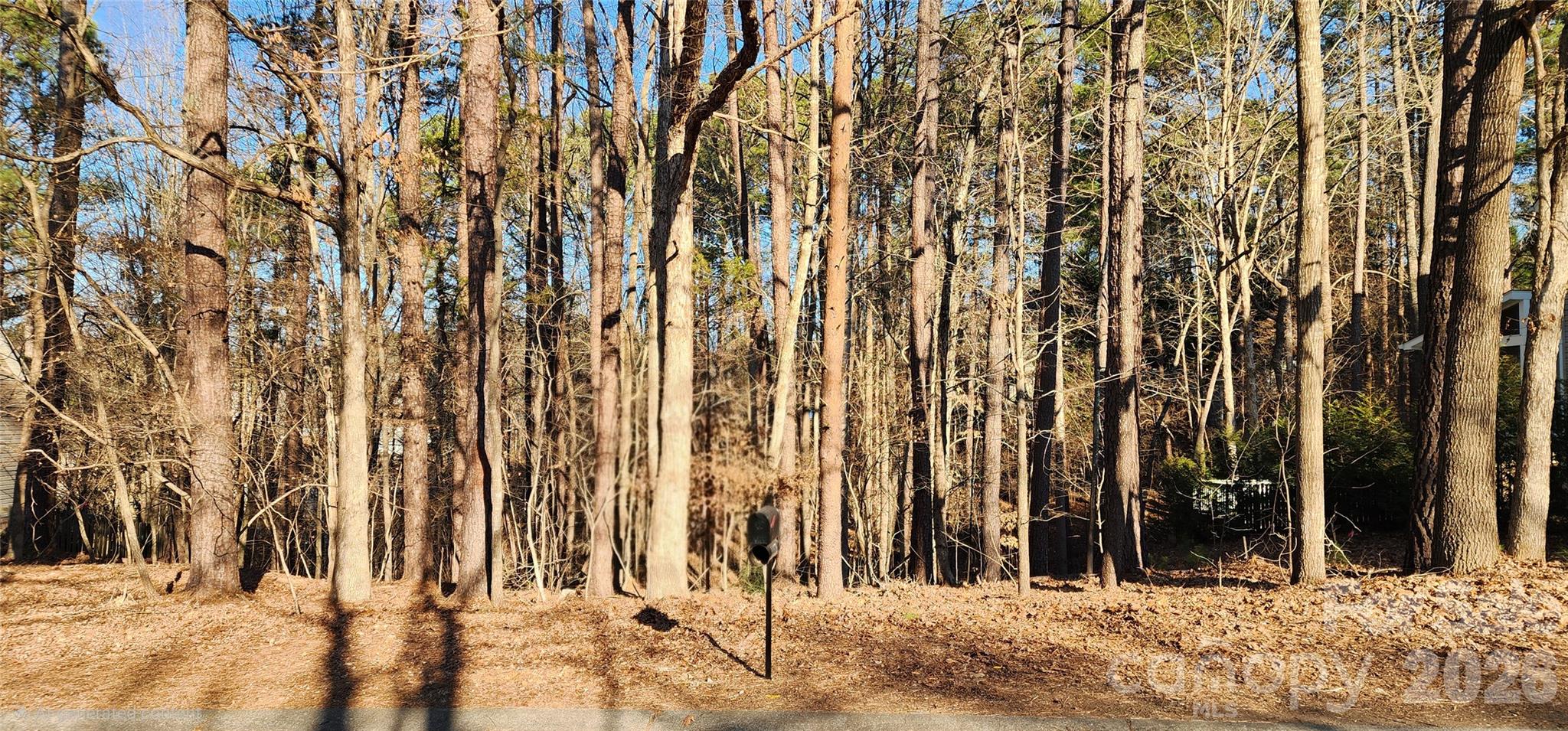 11176 Watertrace Drive Fort Mill, SC 29708 - Photo 11 of 30 a view of a row of trees