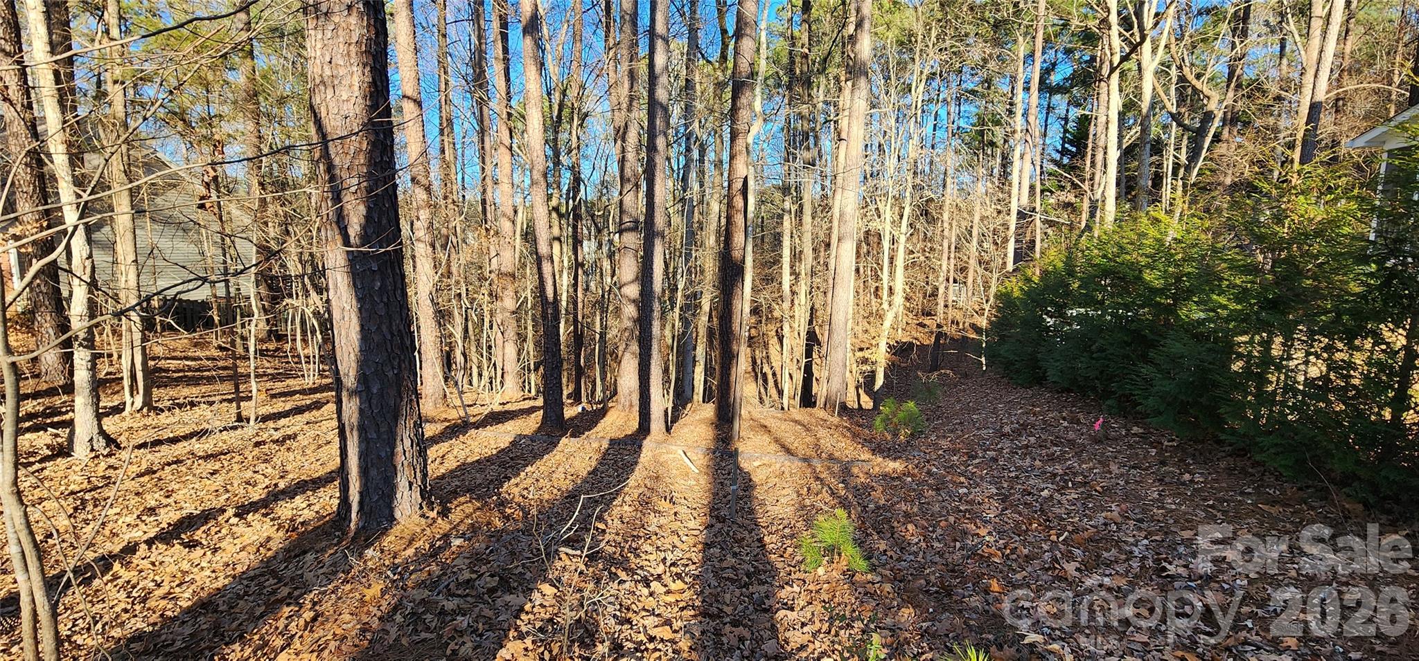 11176 Watertrace Drive Fort Mill, SC 29708 - Photo 13 of 30 a view of entryway
