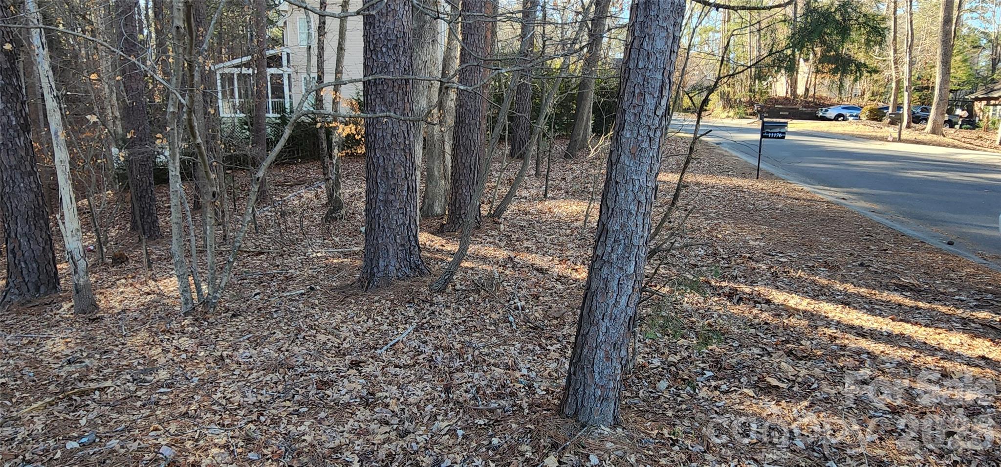 11176 Watertrace Drive Fort Mill, SC 29708 - Photo 14 of 30