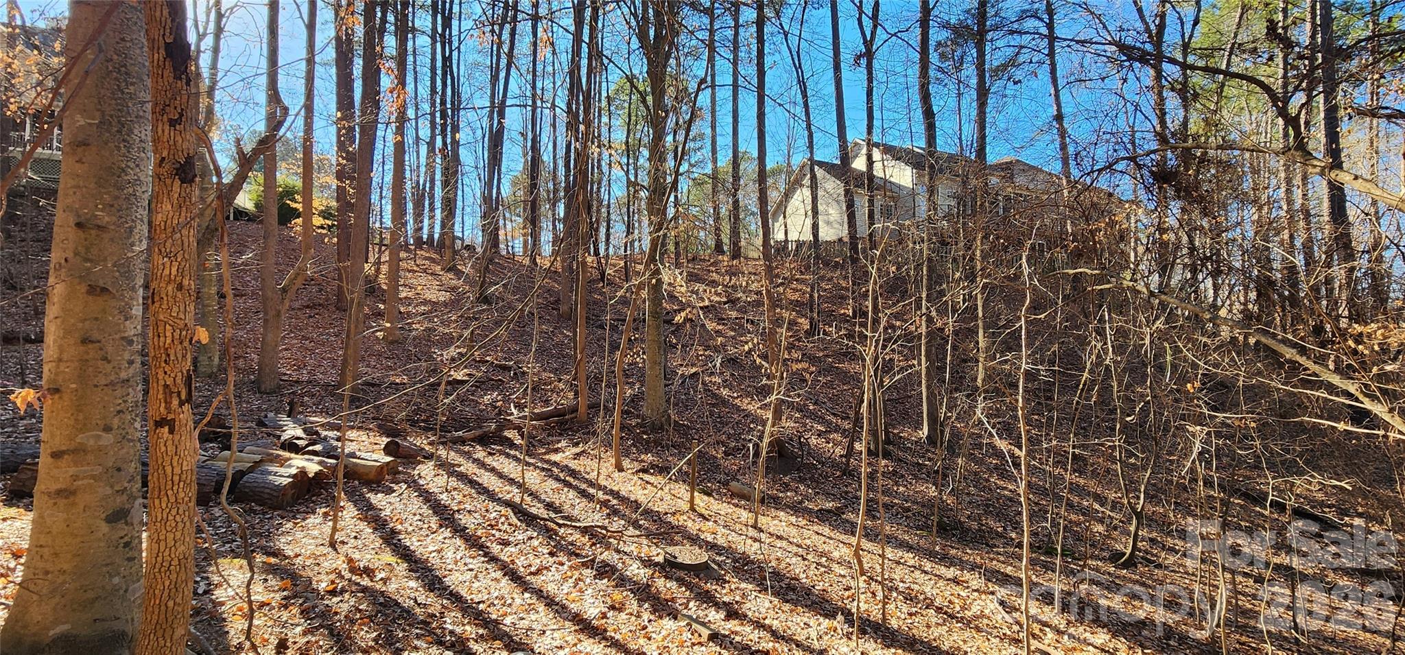 11176 Watertrace Drive Fort Mill, SC 29708 - Photo 15 of 30