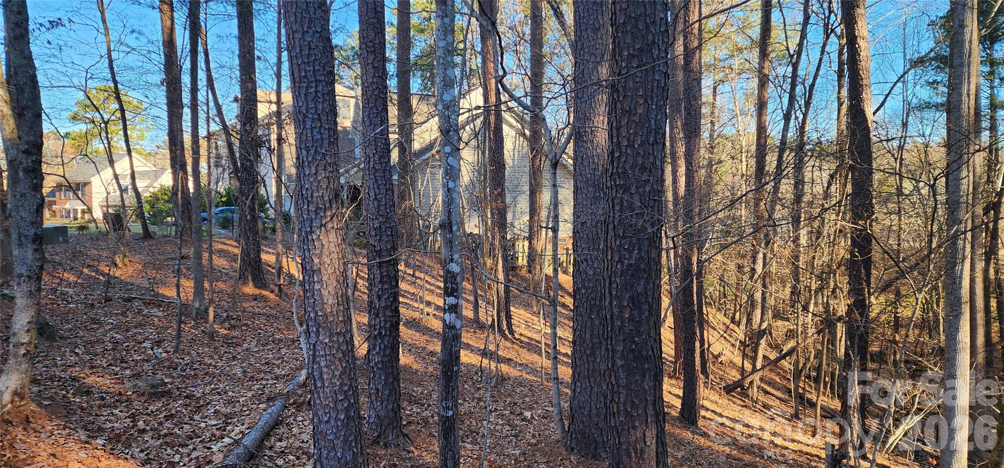 11176 Watertrace Drive Fort Mill, SC 29708 - Photo 16 of 30 a backyard of a house