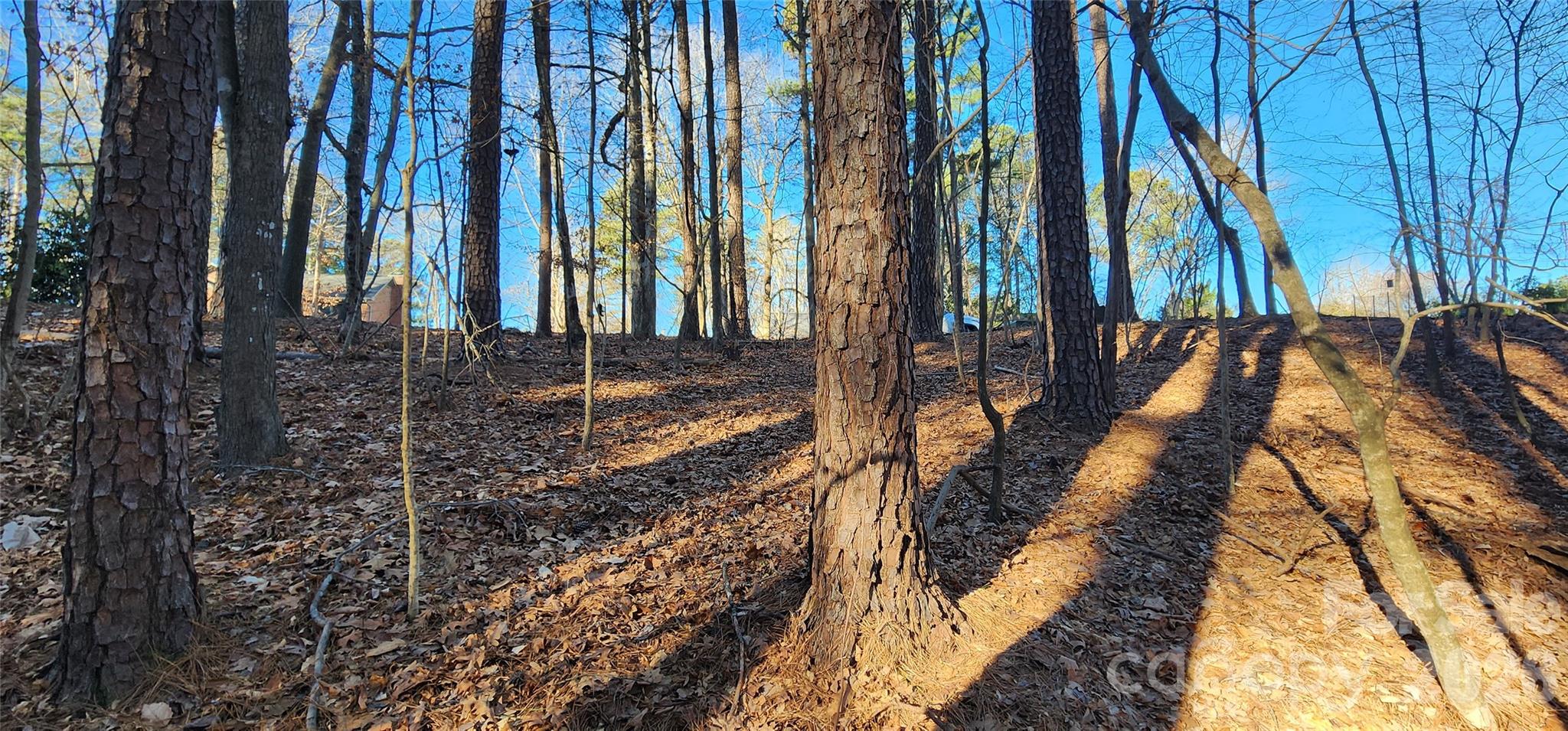 11176 Watertrace Drive Fort Mill, SC 29708 - Photo 17 of 30 a view of outdoor space with seating area
