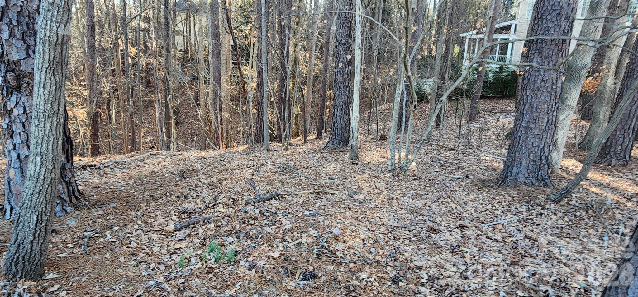 11176 Watertrace Drive Fort Mill, SC 29708 - Photo 18 of 30 a view of a yard with trees