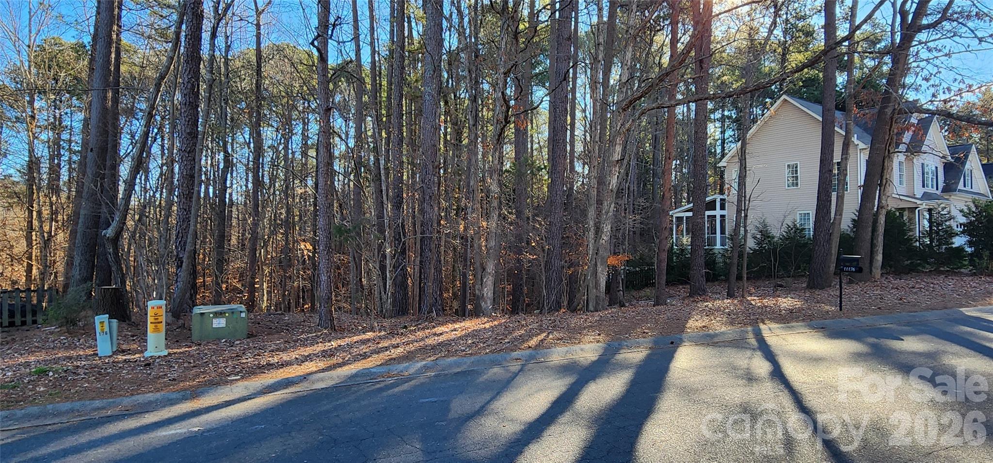 11176 Watertrace Drive Fort Mill, SC 29708 - Photo 19 of 30 a view of backyard with tree