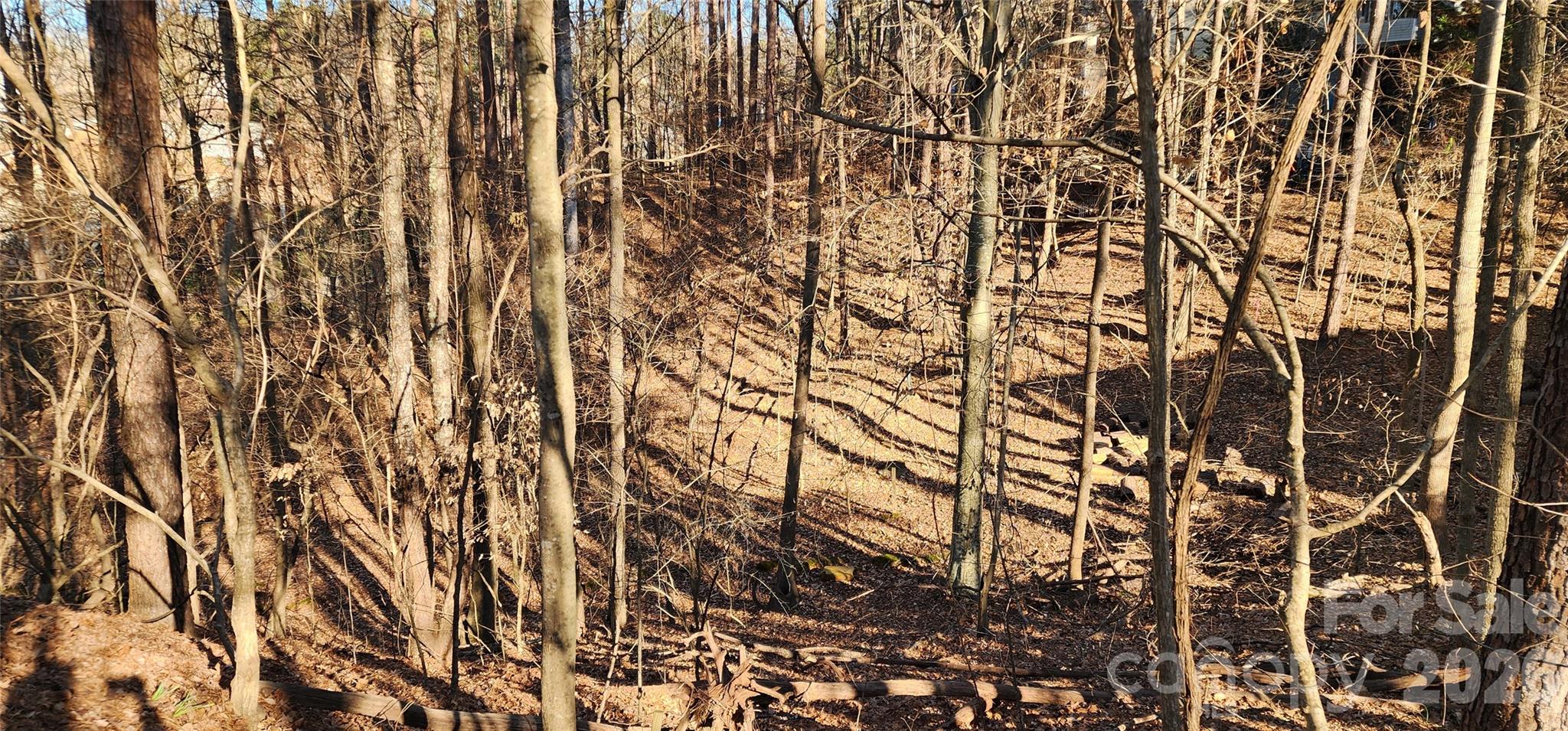 11176 Watertrace Drive Fort Mill, SC 29708 - Photo 21 of 30